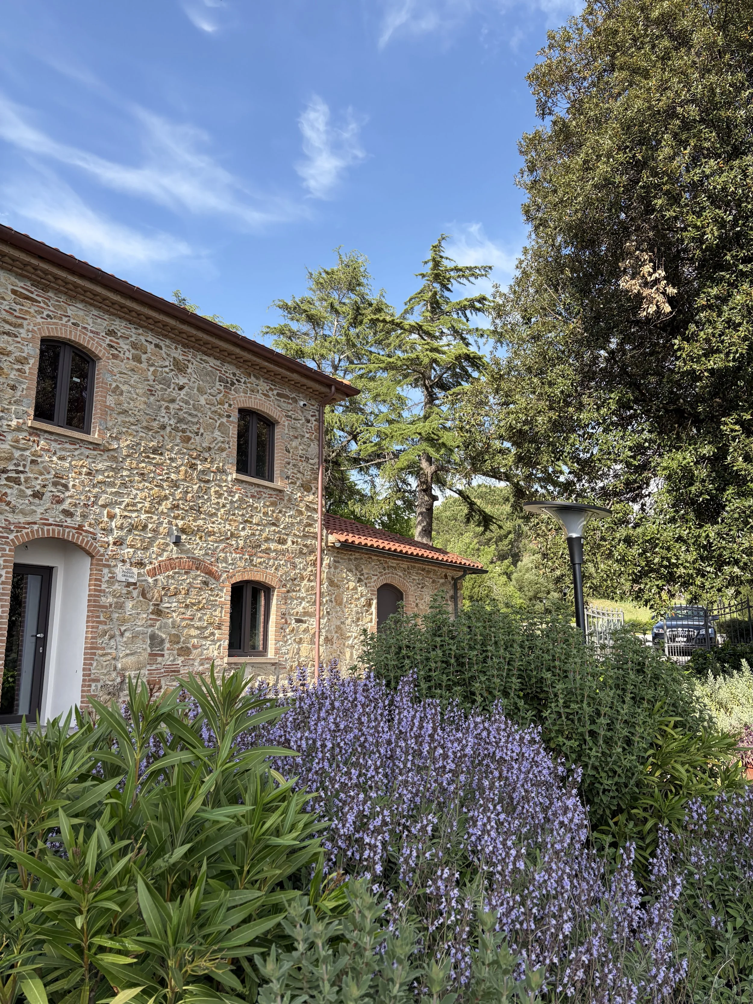 Stone house with arched windows, surrounded by green plants and purple flowers, under a bright blue sky with some clouds, and tall trees in the background.