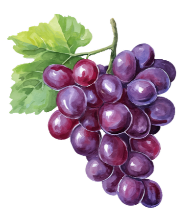 A bunch of purple grapes with green leaves on a black background.