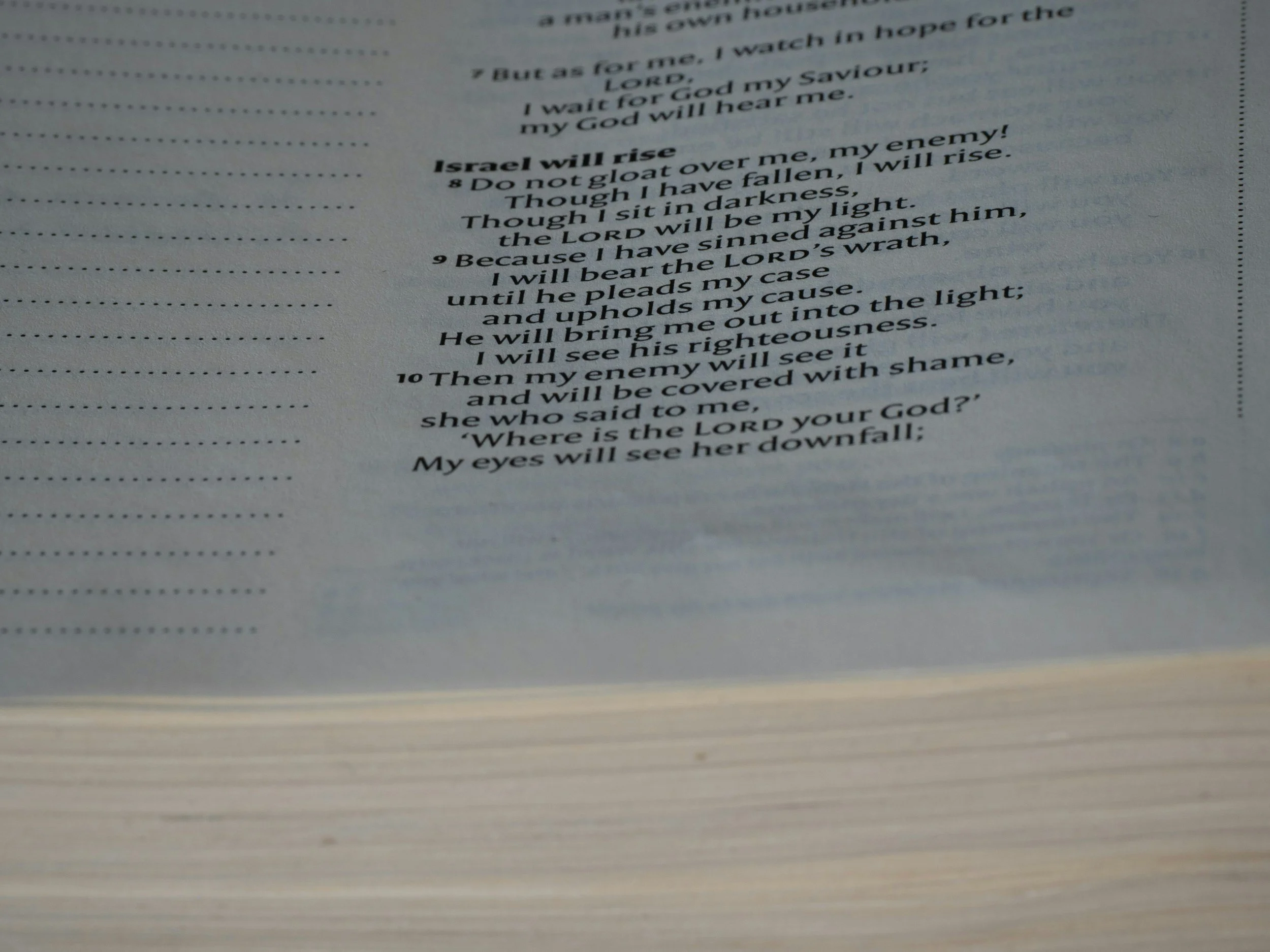 A close-up photo of a page in a book with a religious or poetic text, showing numbered lines, Teal, black text on white paper.
