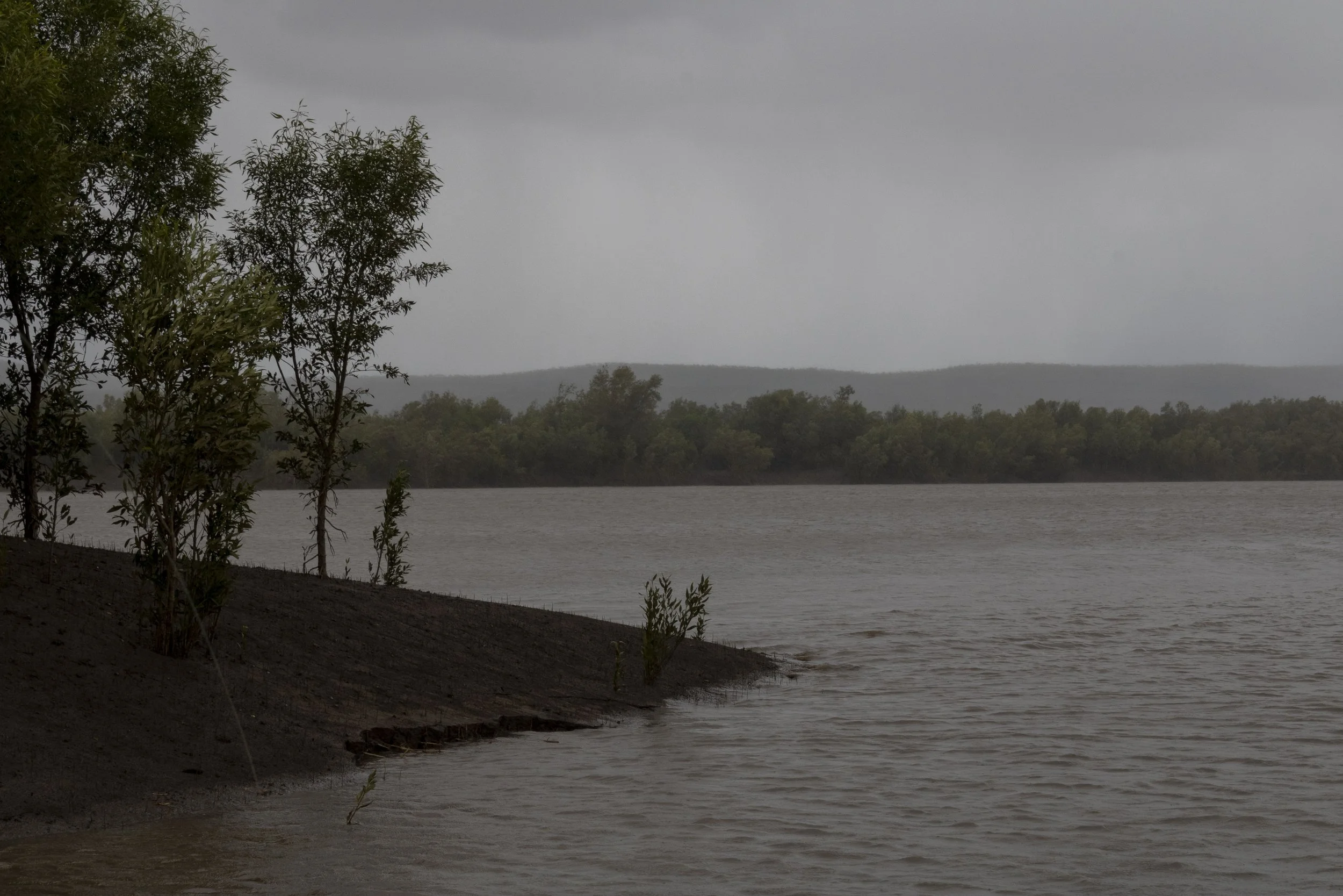 King River