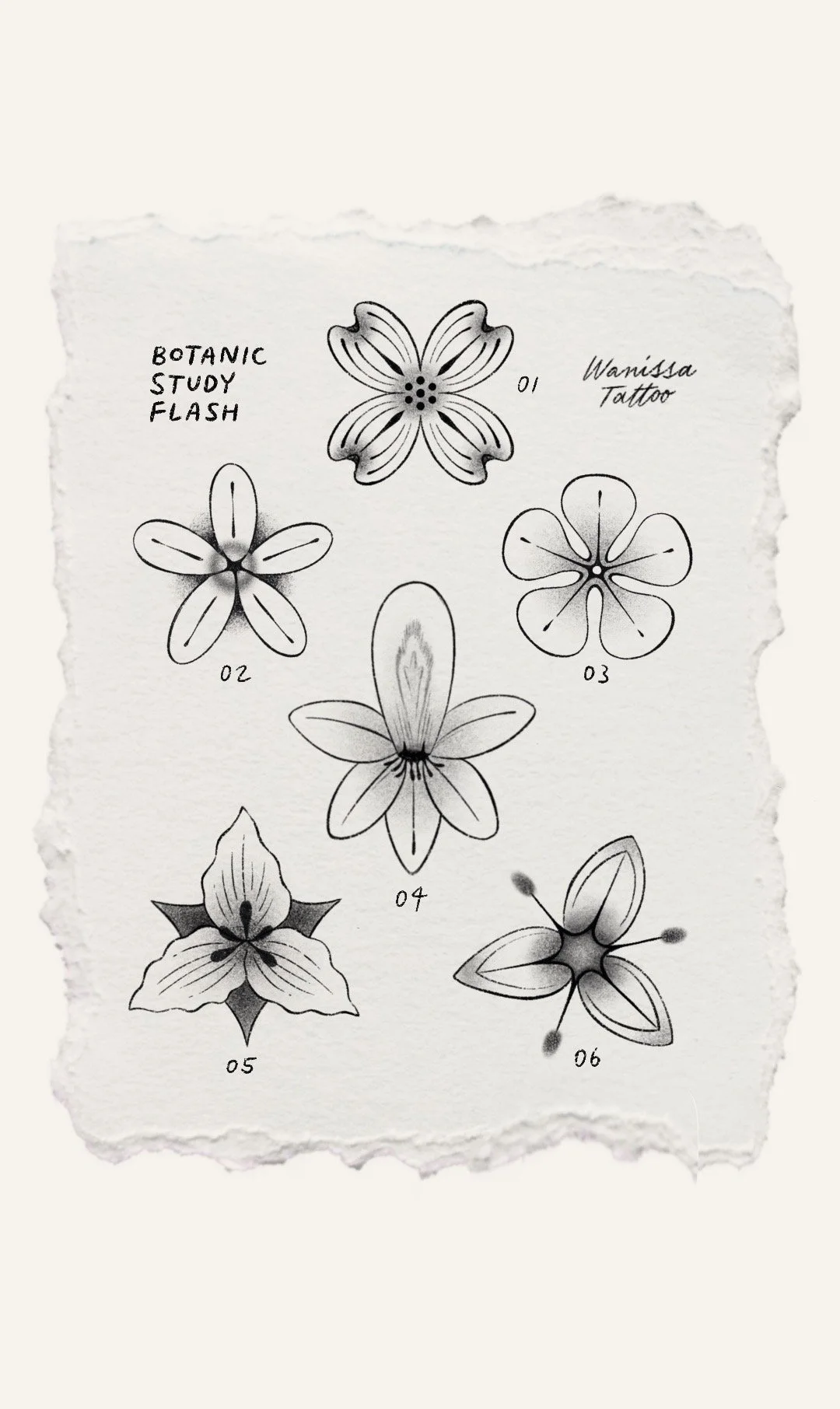 Botanical flowers flash sheet. A study of delicate flowers with beautiful petals done in dreamy soft shading. FIneline tattoo ideas by Wanissa, a Melbourne based fineline tattooer.