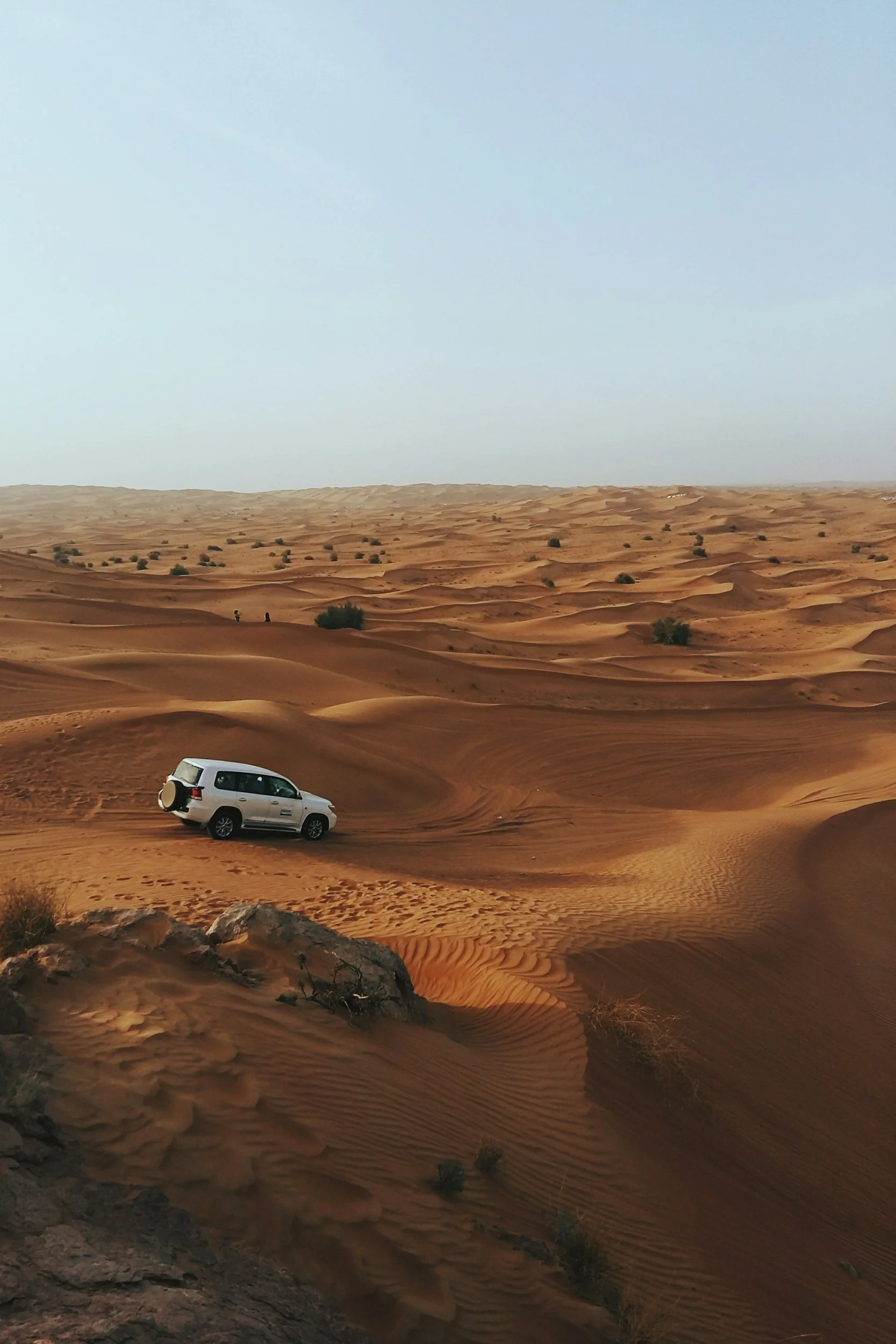 A white SUV parked on sandy dunes in a desert landscape with sparse vegetation and a clear sky.