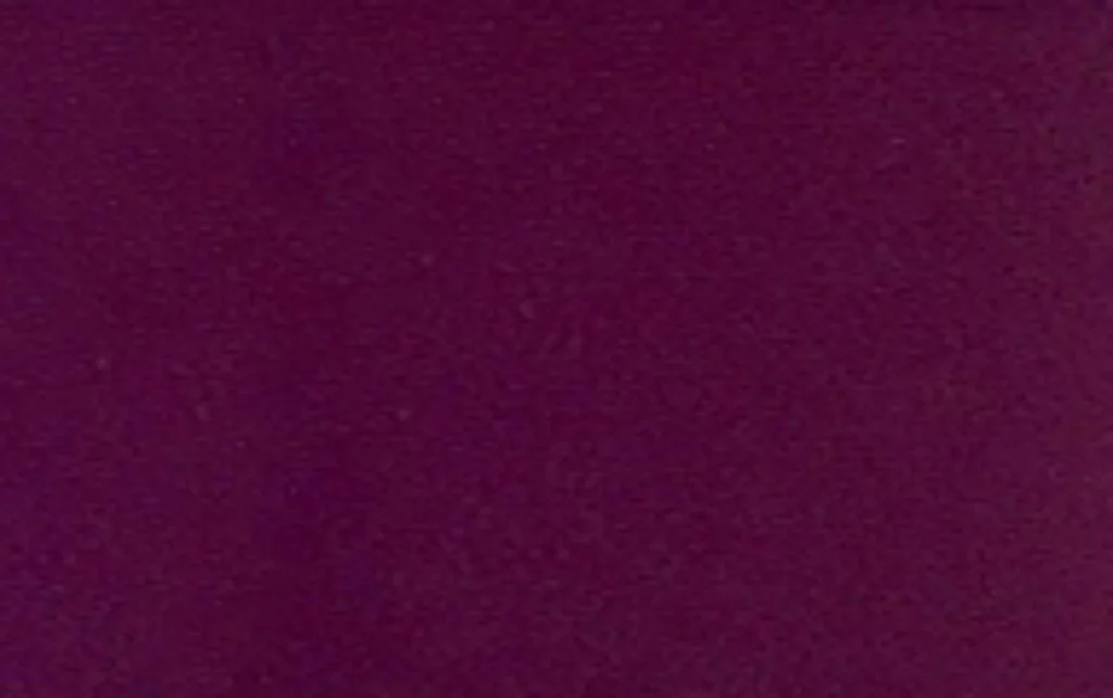 3094-5007 BERENJENA.jpg