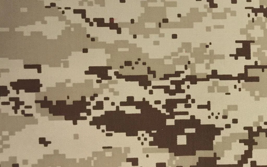 CAMSAR160-2003.jpg