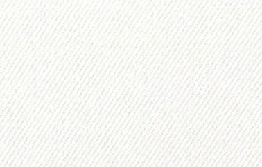 TEJANO NIMS grueso - 0000-BLANCO.jpg