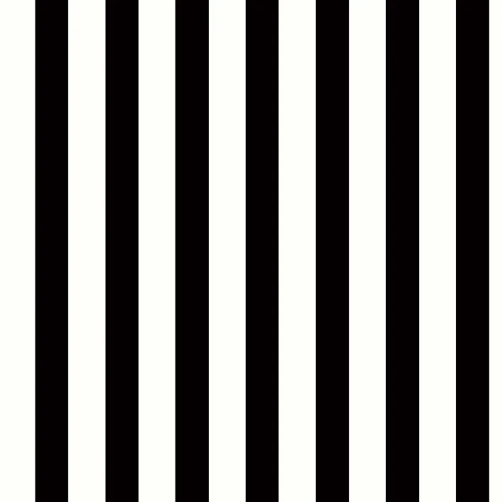 2222-RAP-7013 LINEAS NEGRAS.JPG (copia)