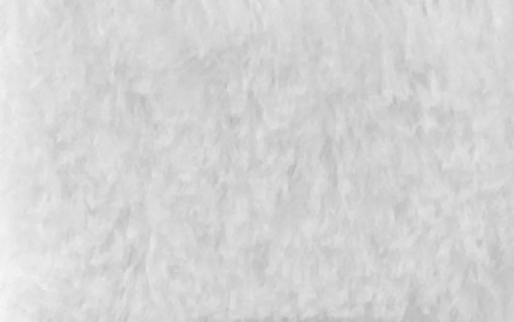 Pelo Corto Blanco
