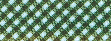 Vichy Cuadros 6 Verde