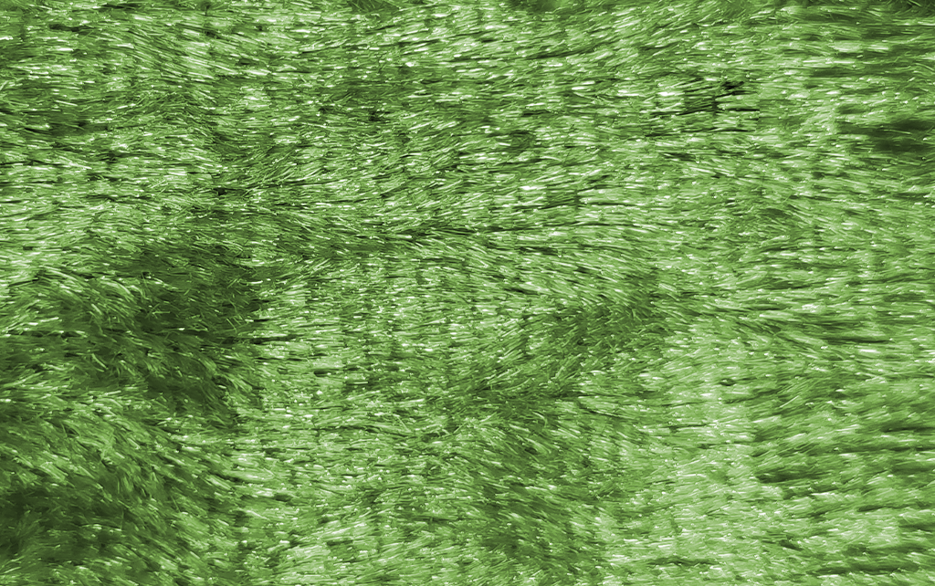 Martele Verde Andalucia