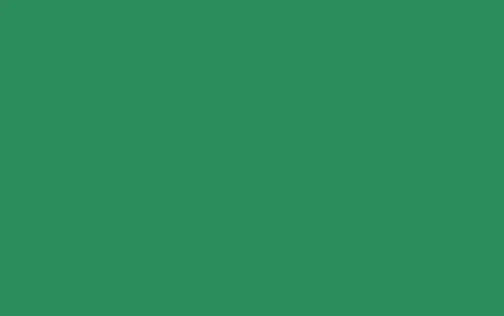 Foam Liso Verde