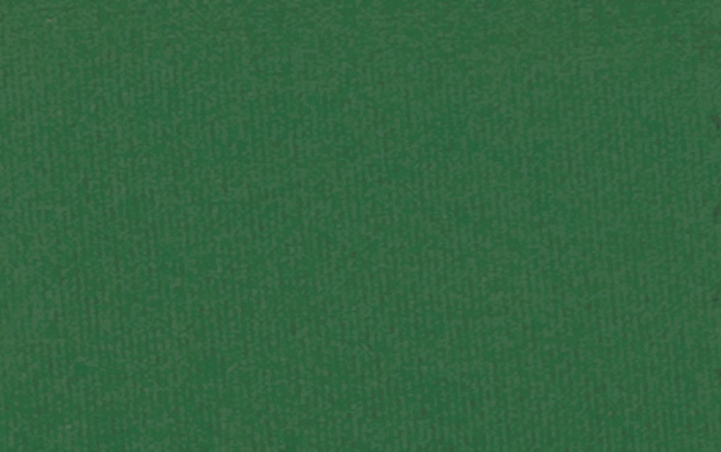 Punto Licra Verde