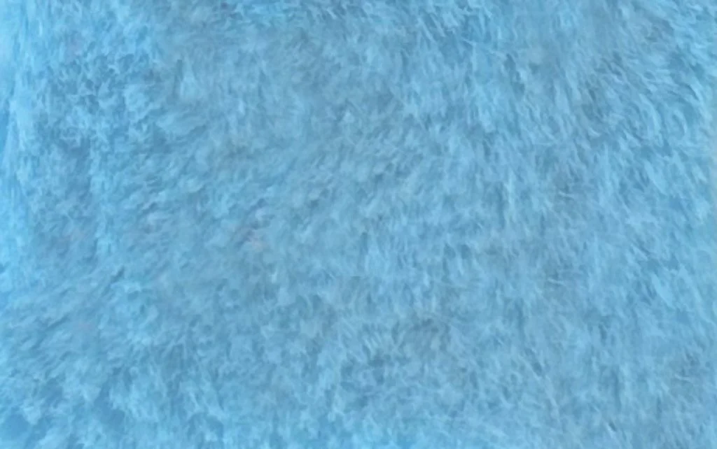 Pelo Corto Celeste