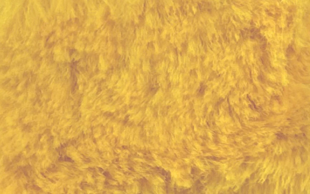 Pelo Corto Amarillo