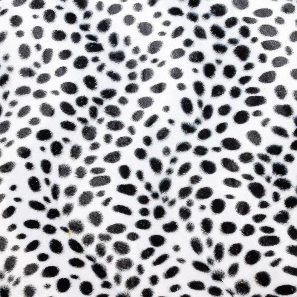 Animal Print Dalmata