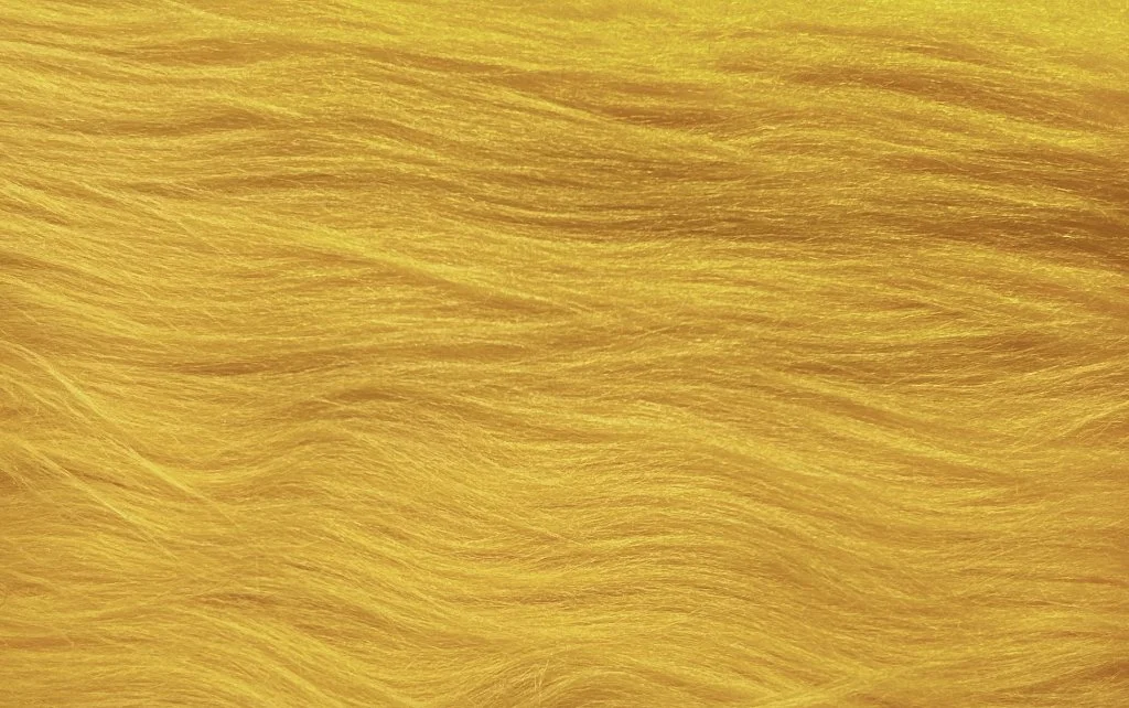 6817-3001 AMARILLO.jpg