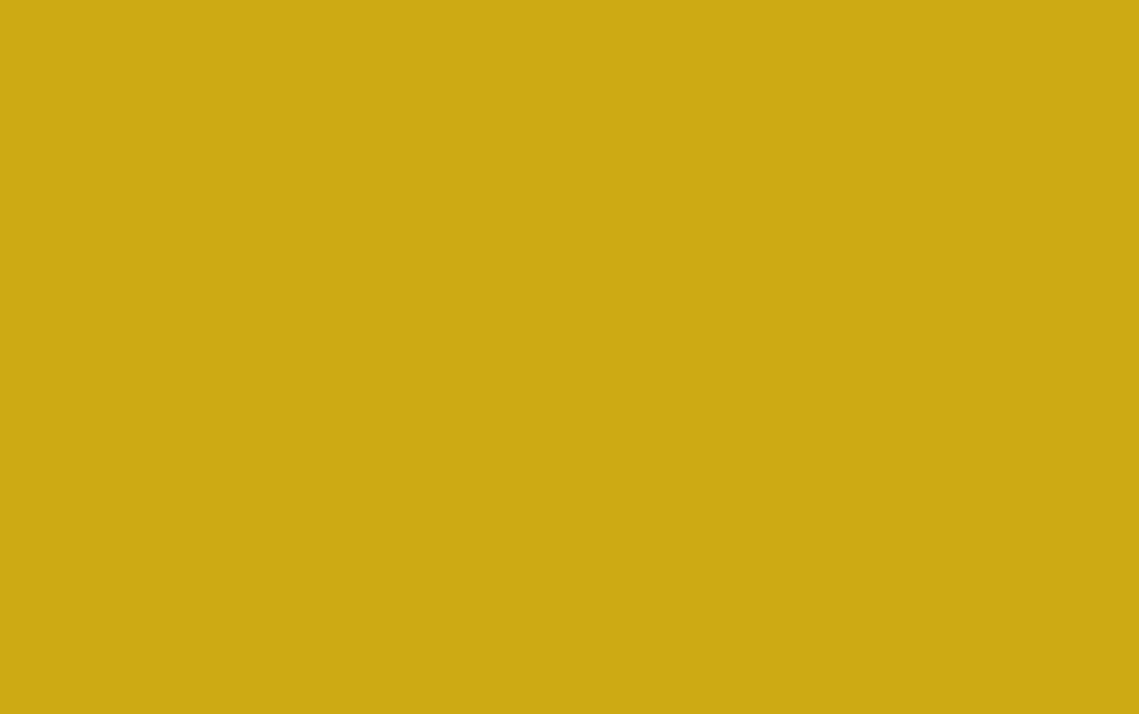 CHALIS150-3001 AMARILLO.jpg