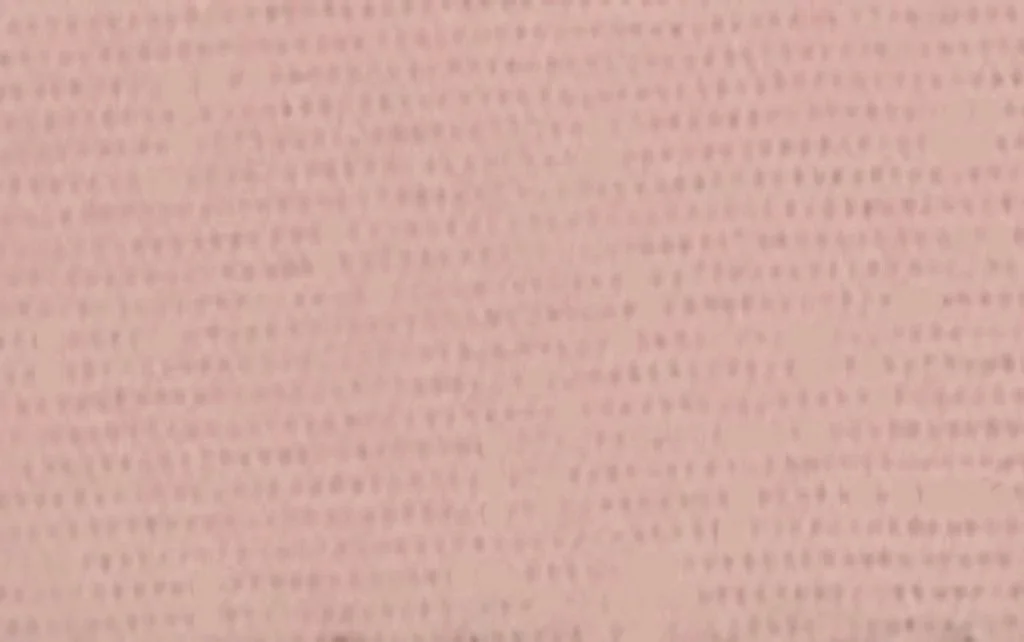 PUNTO SEDA - 4011-ROSA PALO.jpg