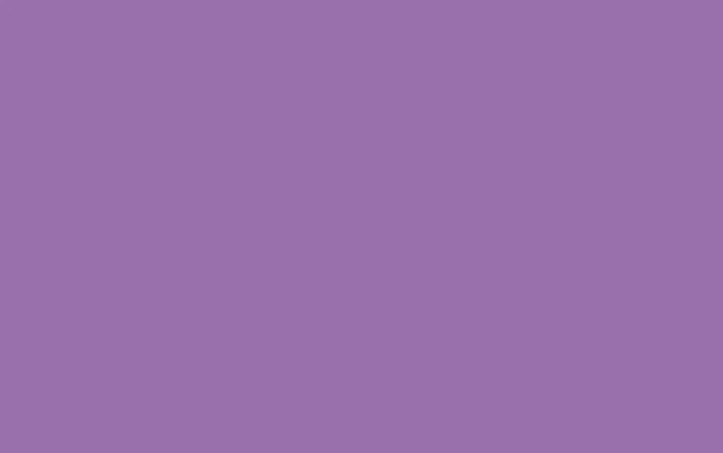 Foam Liso Lila
