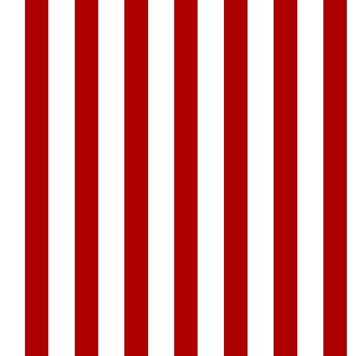 2221-RAP-7012 LINEAS ROJAS.JPG (copia)