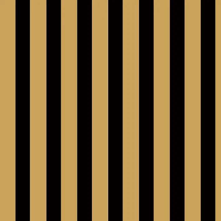 2223-RAP-7014 LINEAS NEGRAS.jpg (copia)