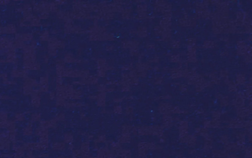 Punto Licra Marino