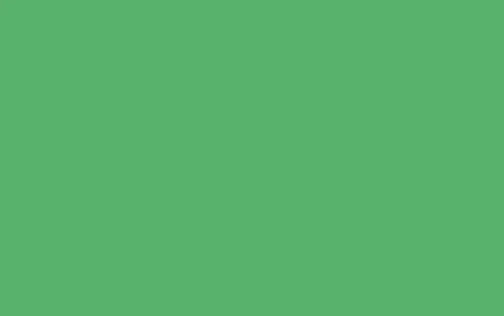 Foam Liso Verde Hierba