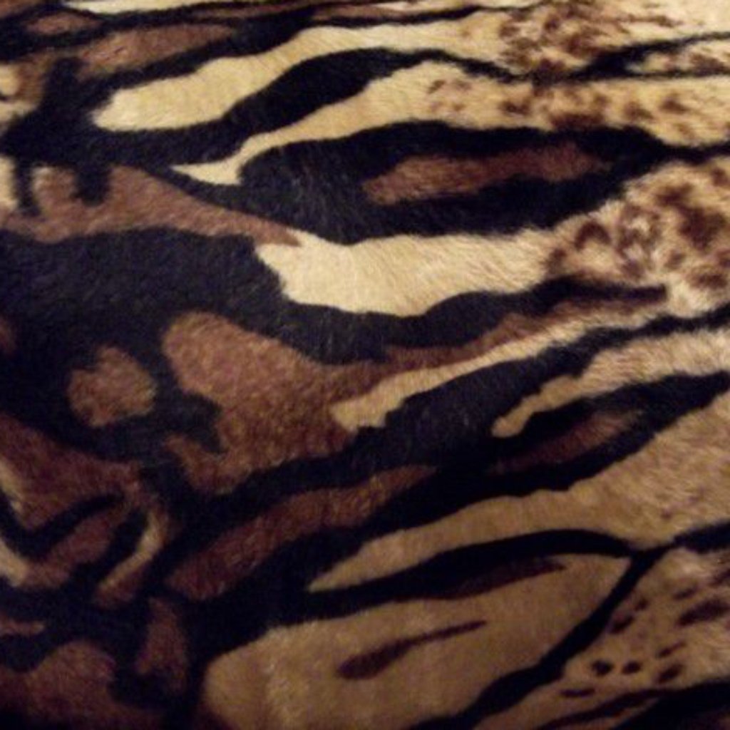 Animal Print Tigre