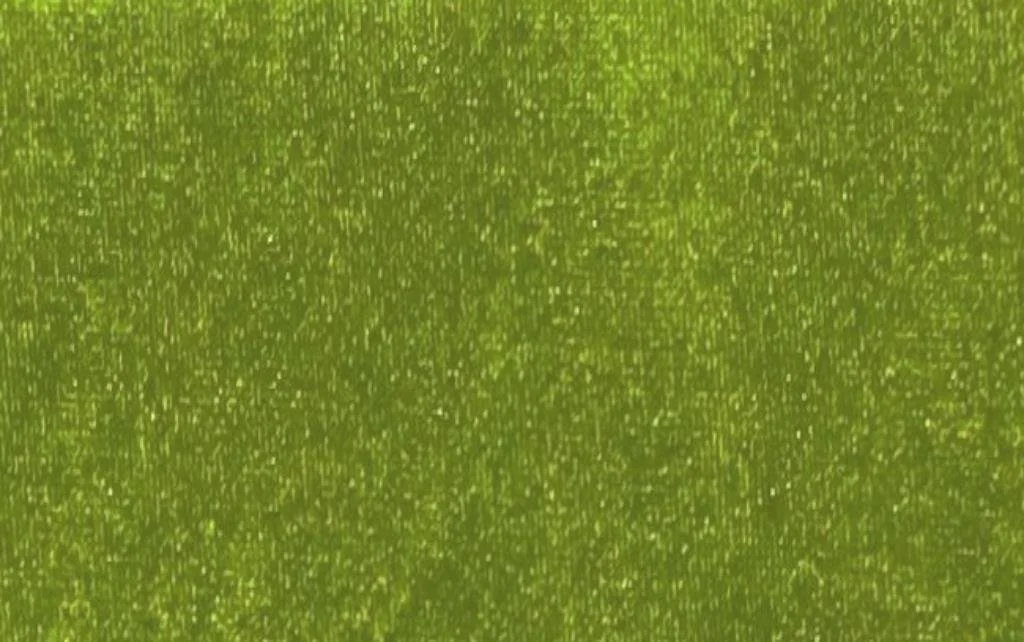 Fantasia Licra Verde Pistacho
