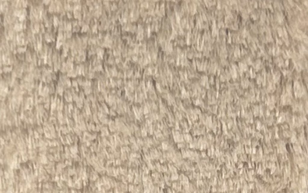 Pelo Corto Tierra