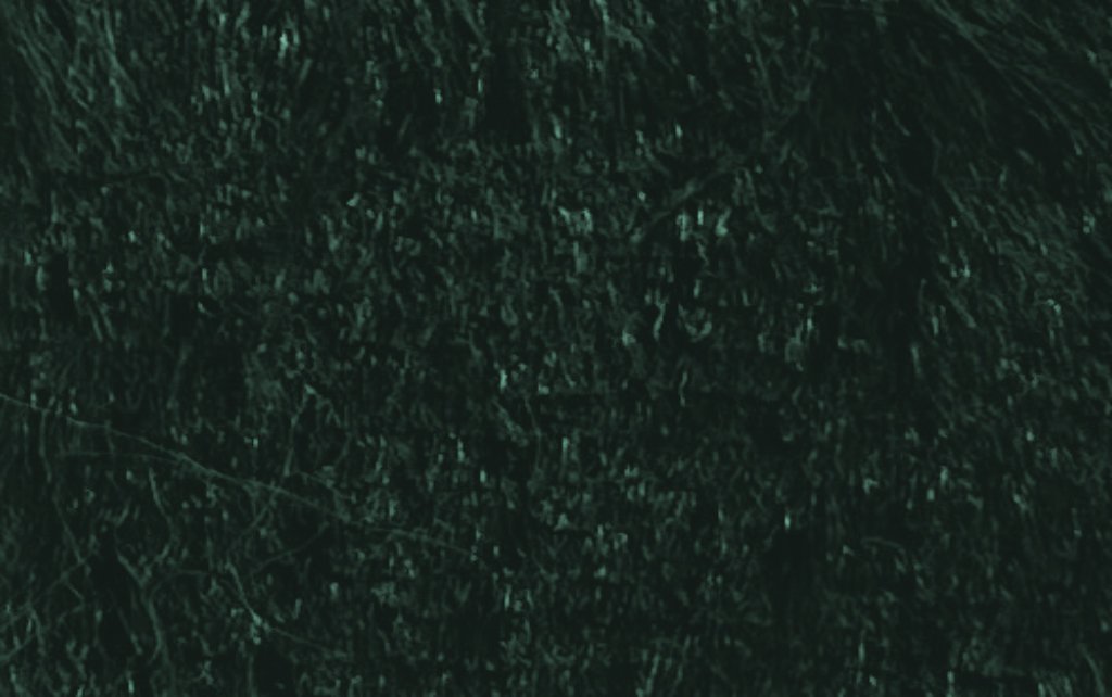 Pelo Corto Verde Botella