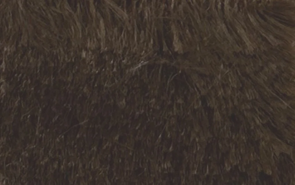 Pelo Corto Marron