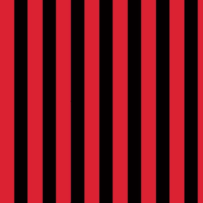 2219-RAP-7011 LINEAS NEGRAS.JPG (copia)
