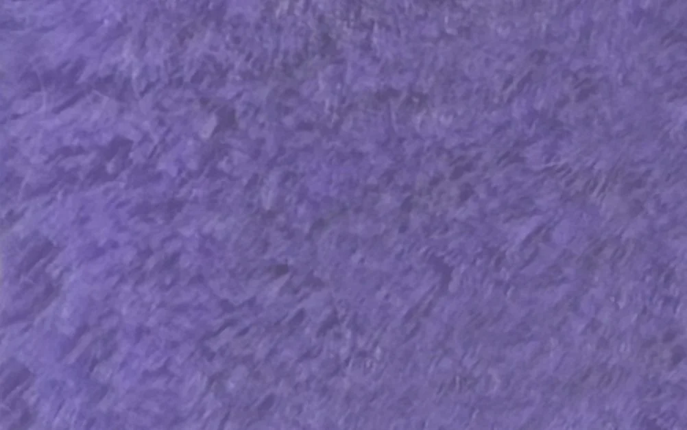 Pelo Corto Morado