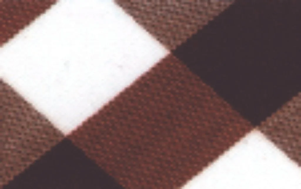 2538-CUADRO1-2003.jpg