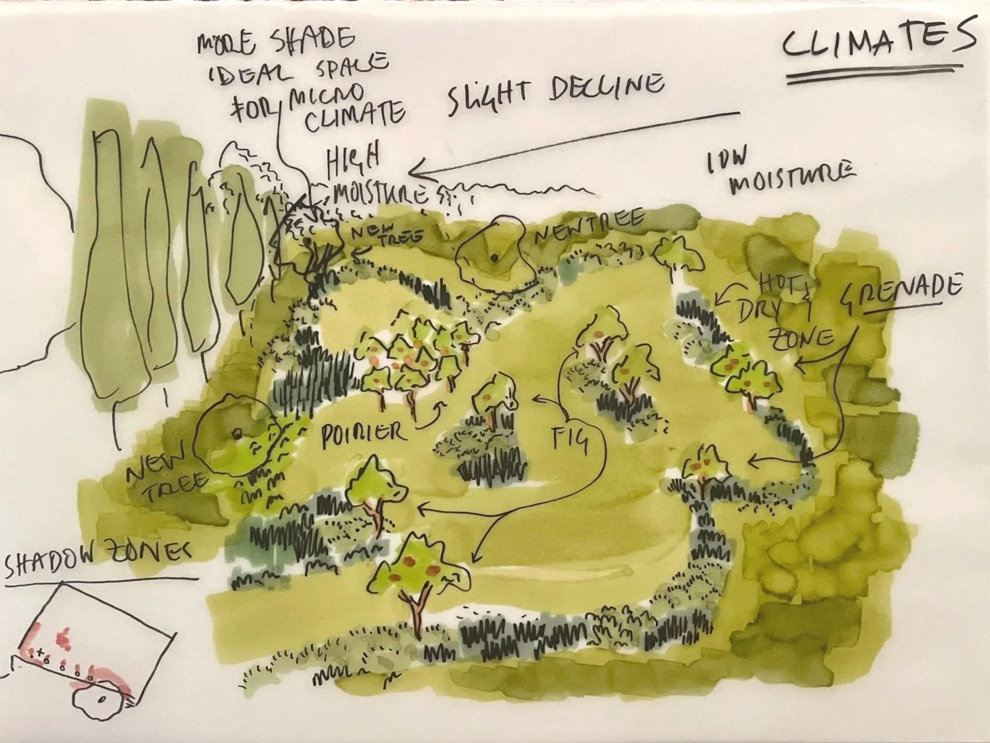 Hand-drawn sketch of a landscape, showing various labeled features such as trees, a pond, a fire pit, a hot dry zone, a grenade zone, and different climate zones. Annotations describe aspects like more shade, ideal space for microclimates, and slight decline. There is a small inset drawing of a football field with a baseball diamond.