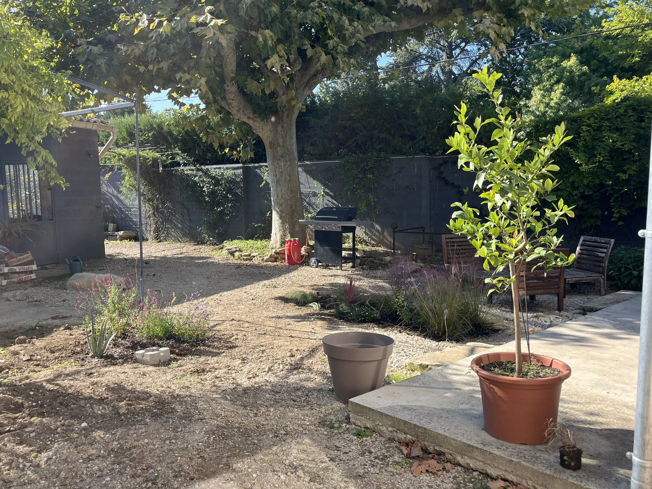A backyard garden with a large tree, potted plants, garden chairs, a barbecue grill, and a dirt and concrete area, surrounded by a black fence and green foliage.