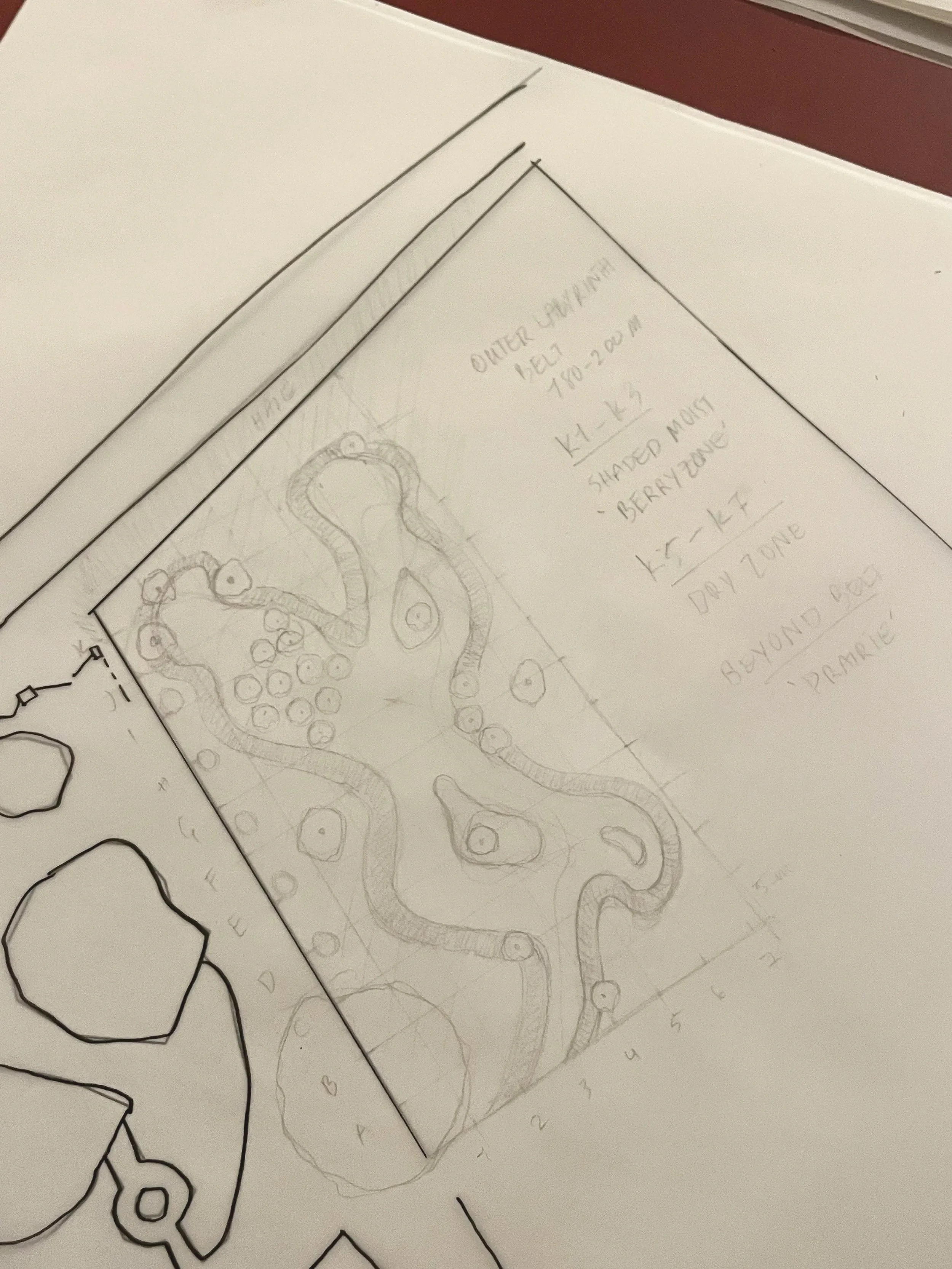 Hand-drawn landscape plan sketches on paper showing an outer shoreline, berm zone, and beyond pool area with various markings and notes.