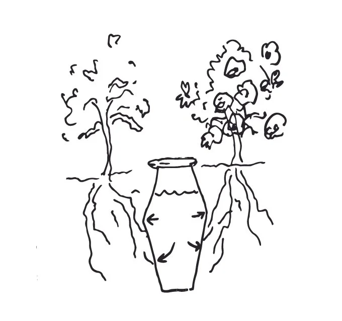 smart irrigation