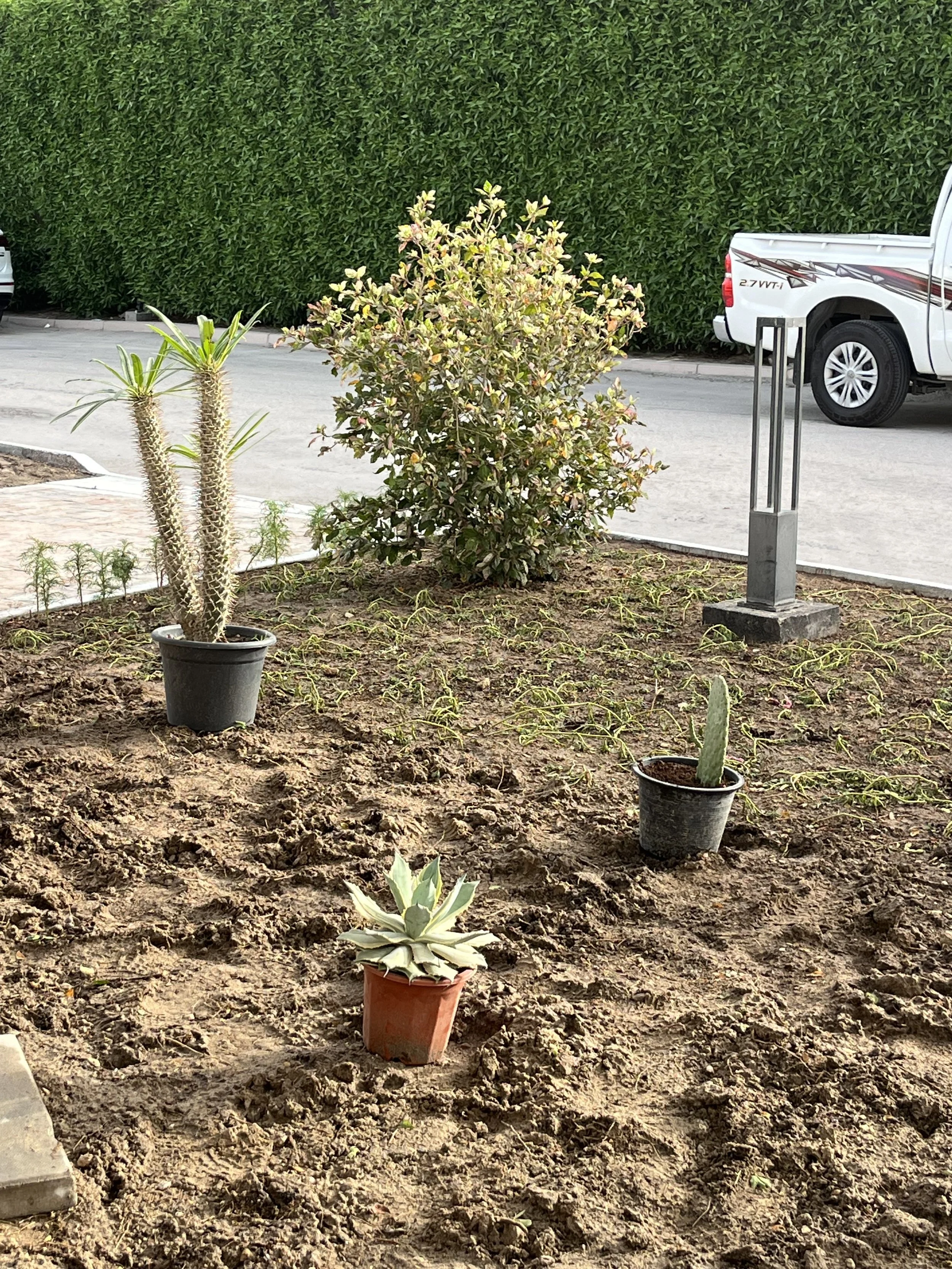 landscape design bahrain