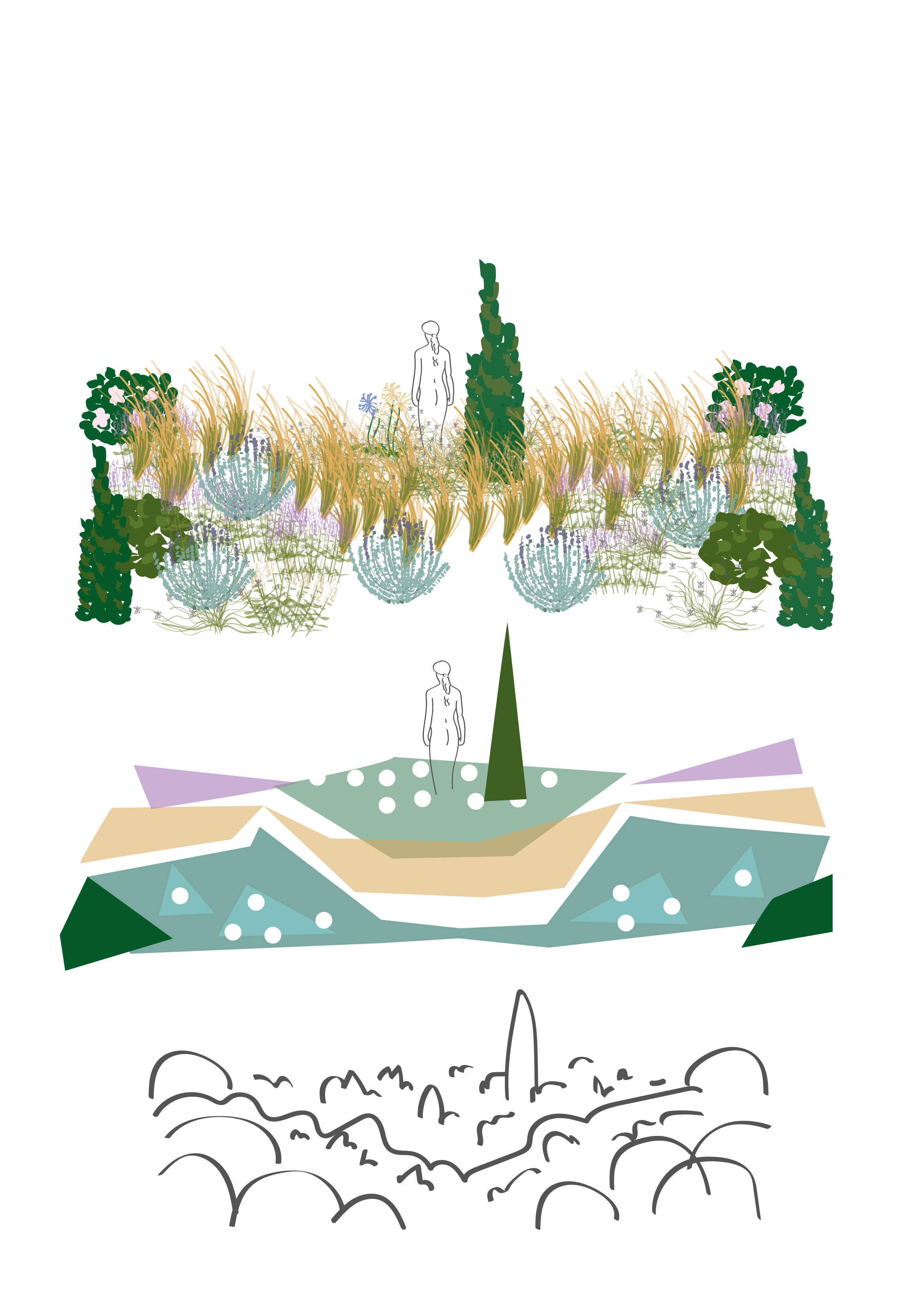 Diagram of a step-by-step process illustrating the growth of a plant from seed to mature plant, showing stages like seed, sprout, young plant, mature plant, and flowering plant.
