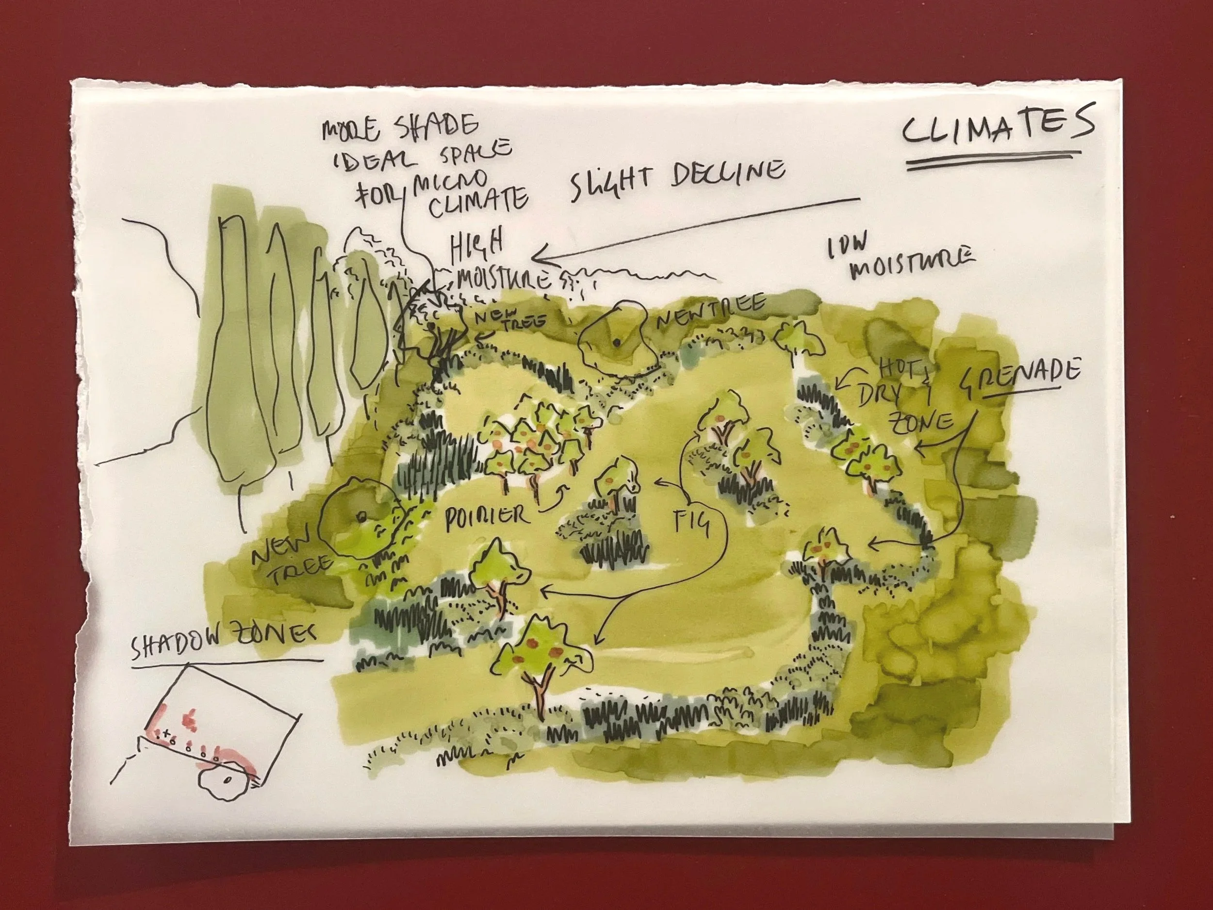 Design consultation
