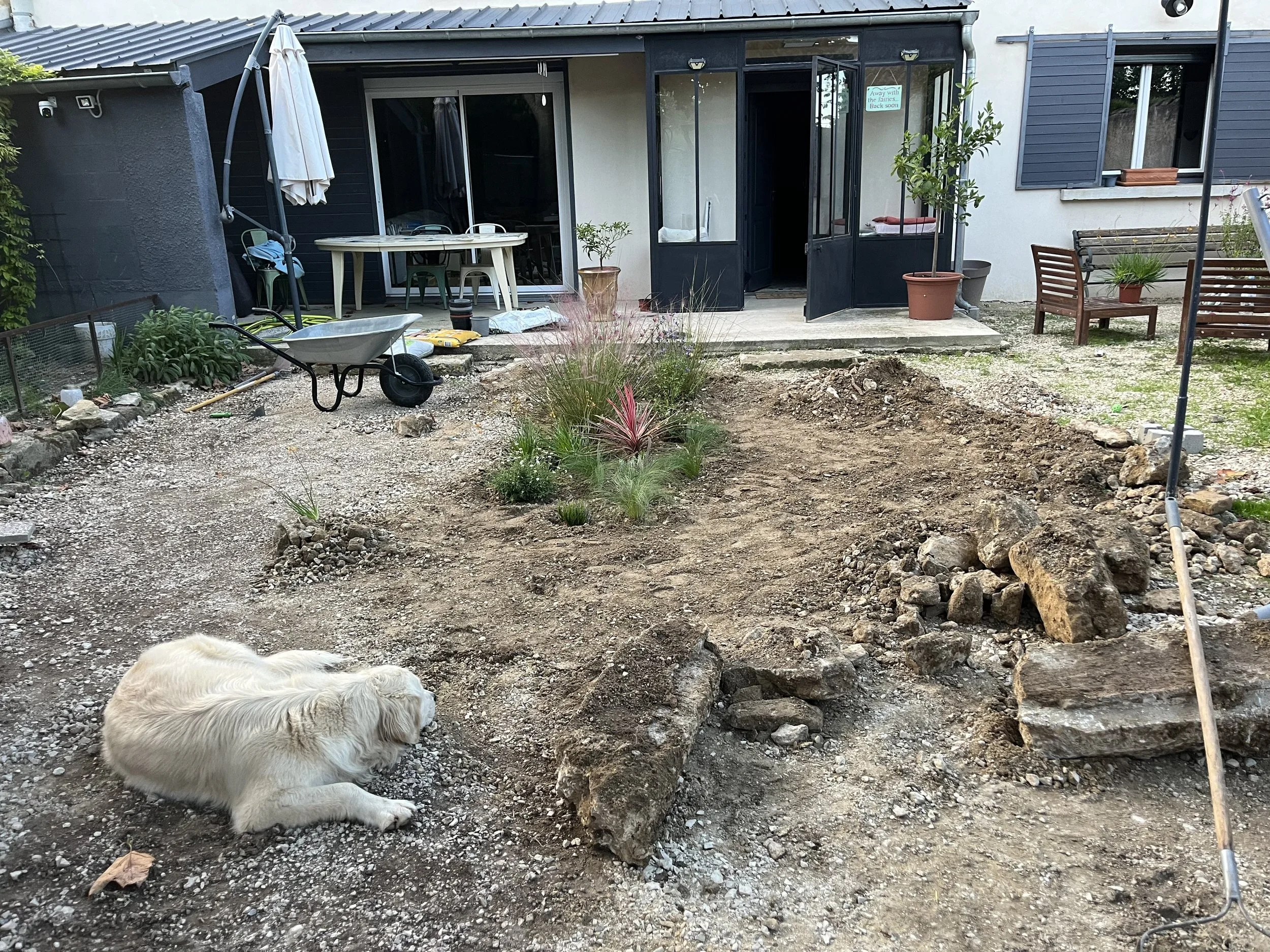 Backyard garden area under renovation with exposed soil, a white dog lying on the ground, a wheelbarrow, plants, and patio furniture near the house.