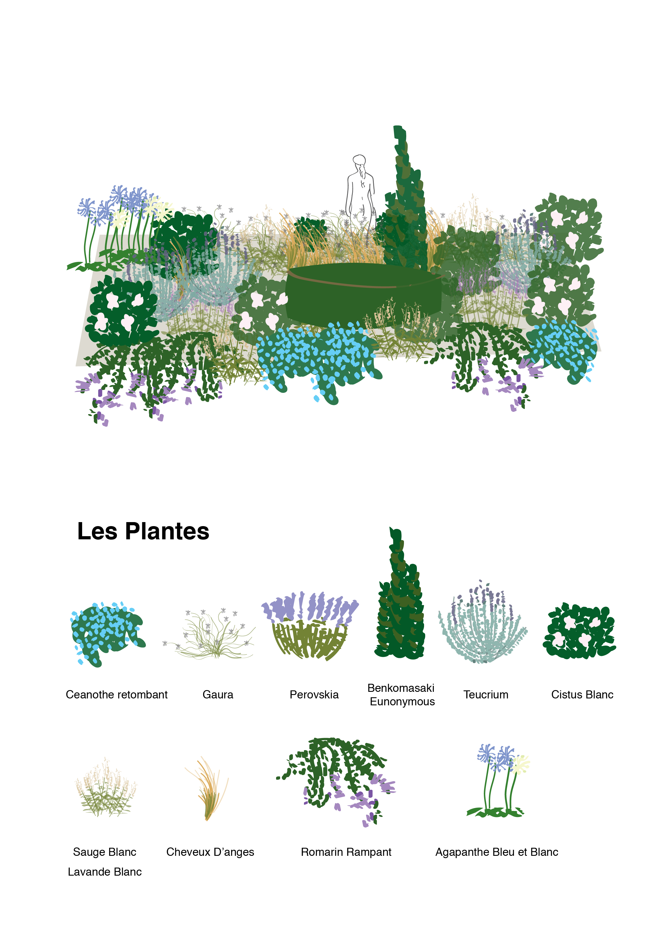 Diagram of three garden layouts showing different planting designs with various shrubs, flowers, and pathways.