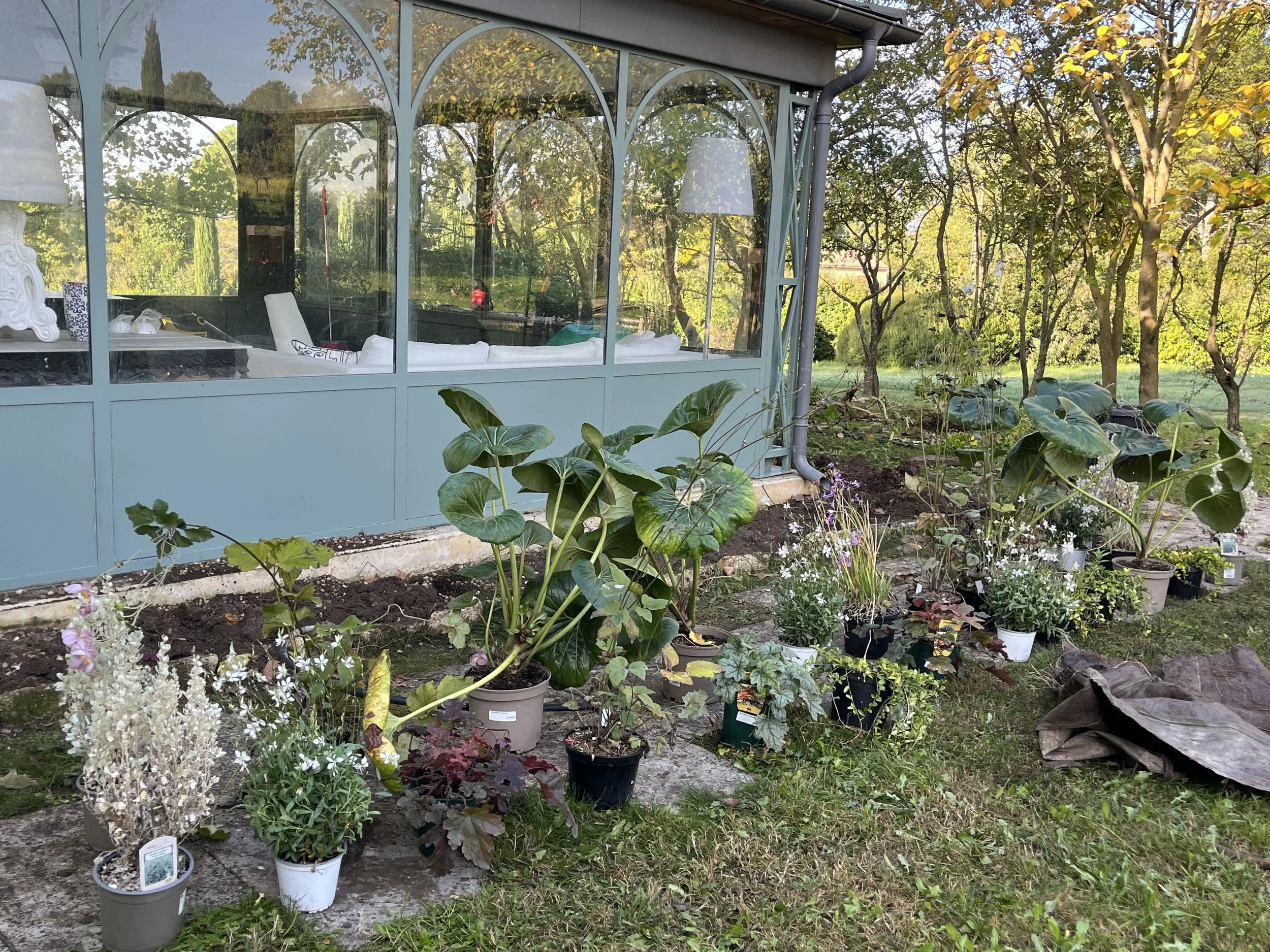 Potted plants outside a glass-walled greenhouse in a garden, with trees and greenery in the background.