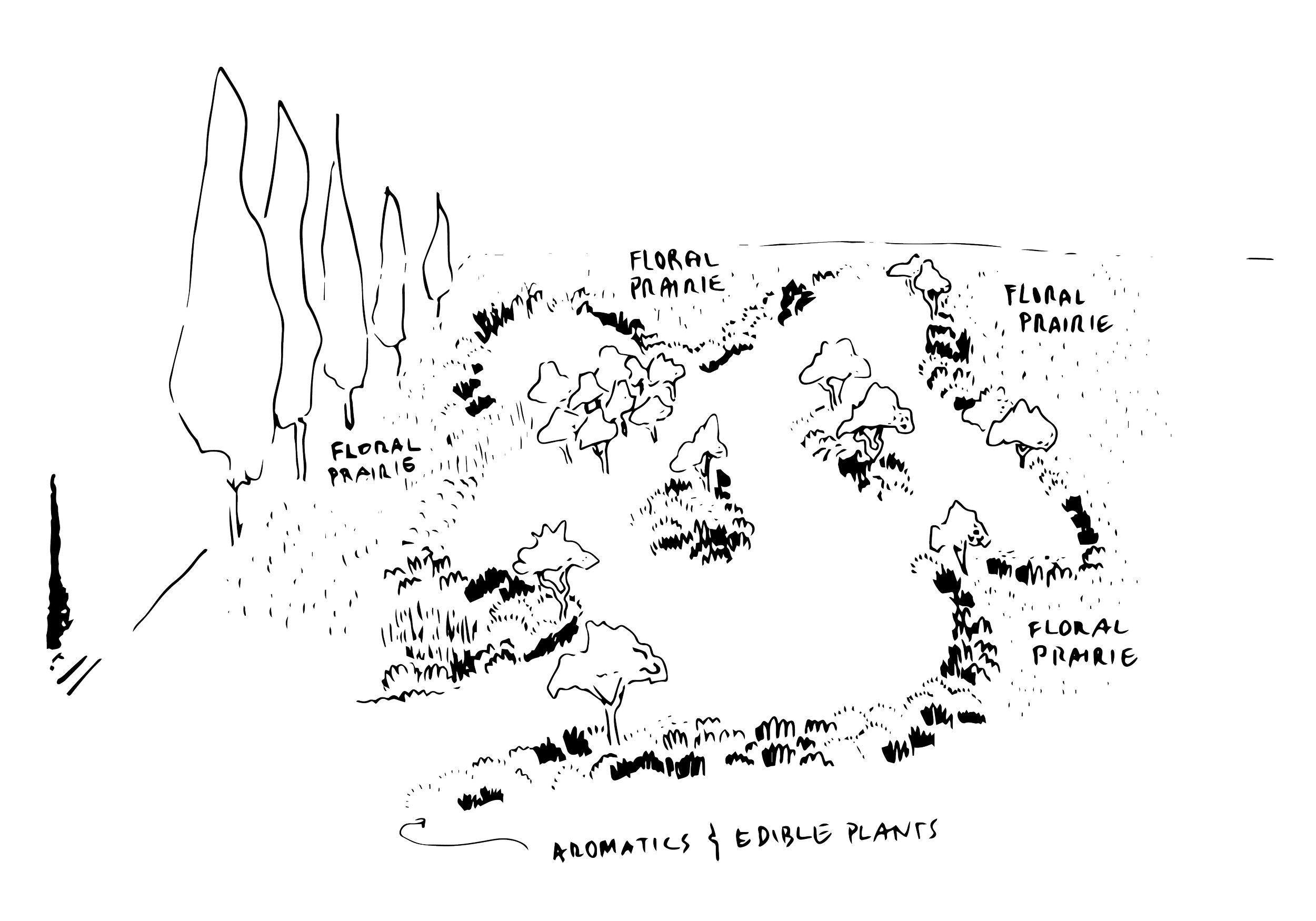 Line drawing of a garden layout with labeled sections for floral paradise and aromatics and edible plants, featuring trees, shrubs, and pathways.