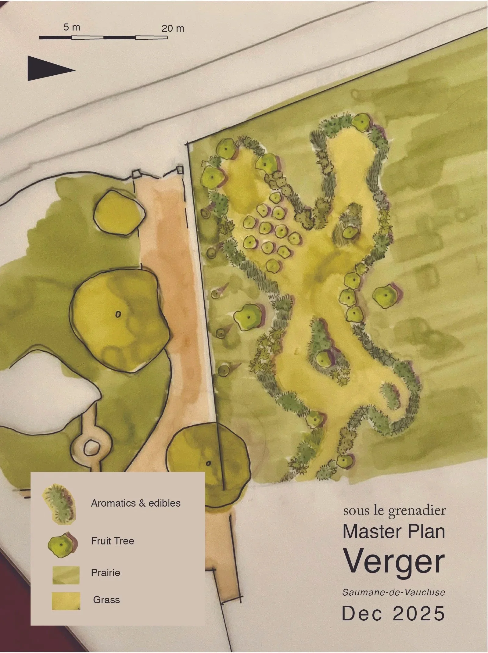 Master plan map of a landscape design project titled 'Verger' in Saumane-de-Vaucluse, December 2025. The map shows various areas including fruit trees, prairies, grass, and aromatics & edibles, with a detailed layout of plantings and pathways.