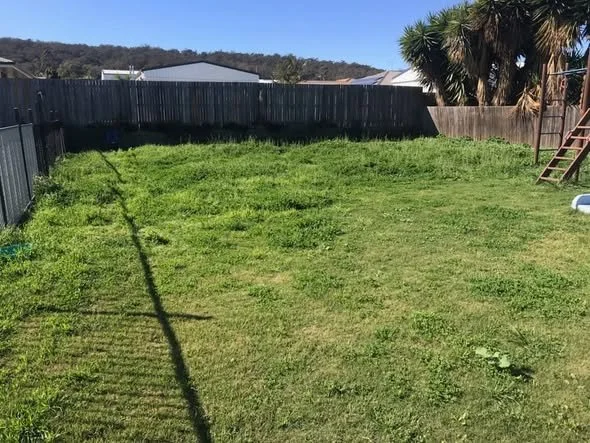 Overgrown lawn before our Lawn Mowing Services