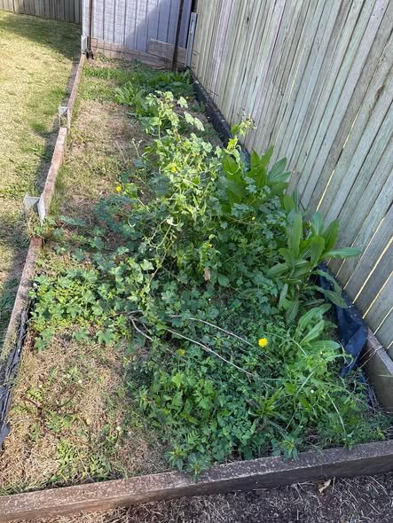 We do garden weeding