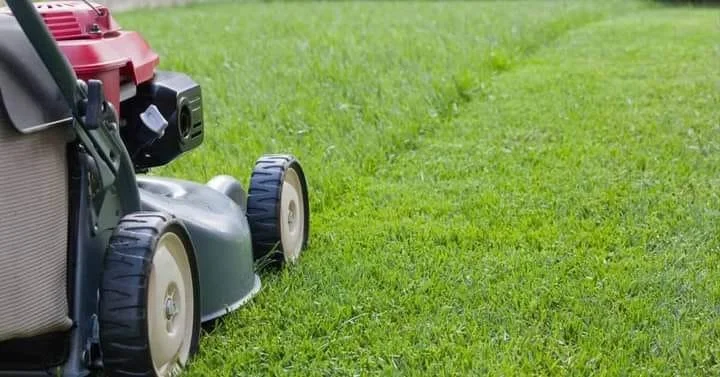 Lawn mowing services Toowoomba