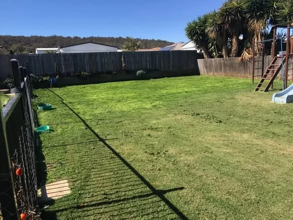 Lawn after our Lawn Mowing Services